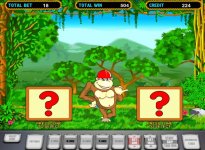 Снимок LudMan: две закрытые призовые таблички в супербонусе Crazy Monkey.